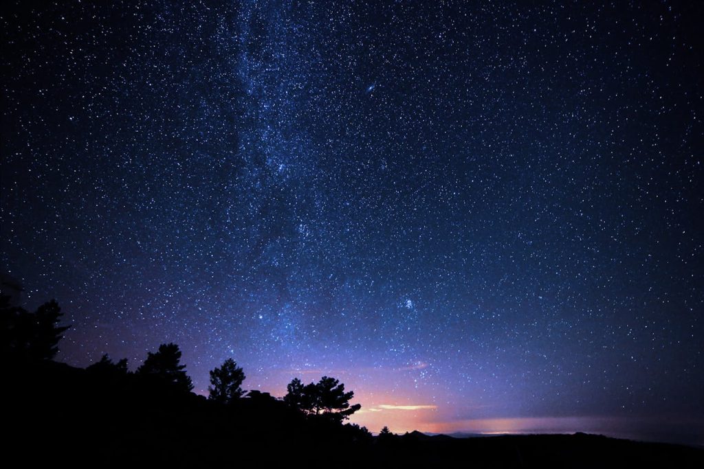 Vivid starry night sky with Milky Way visible above the silhouette of trees in Bacares, Spain.